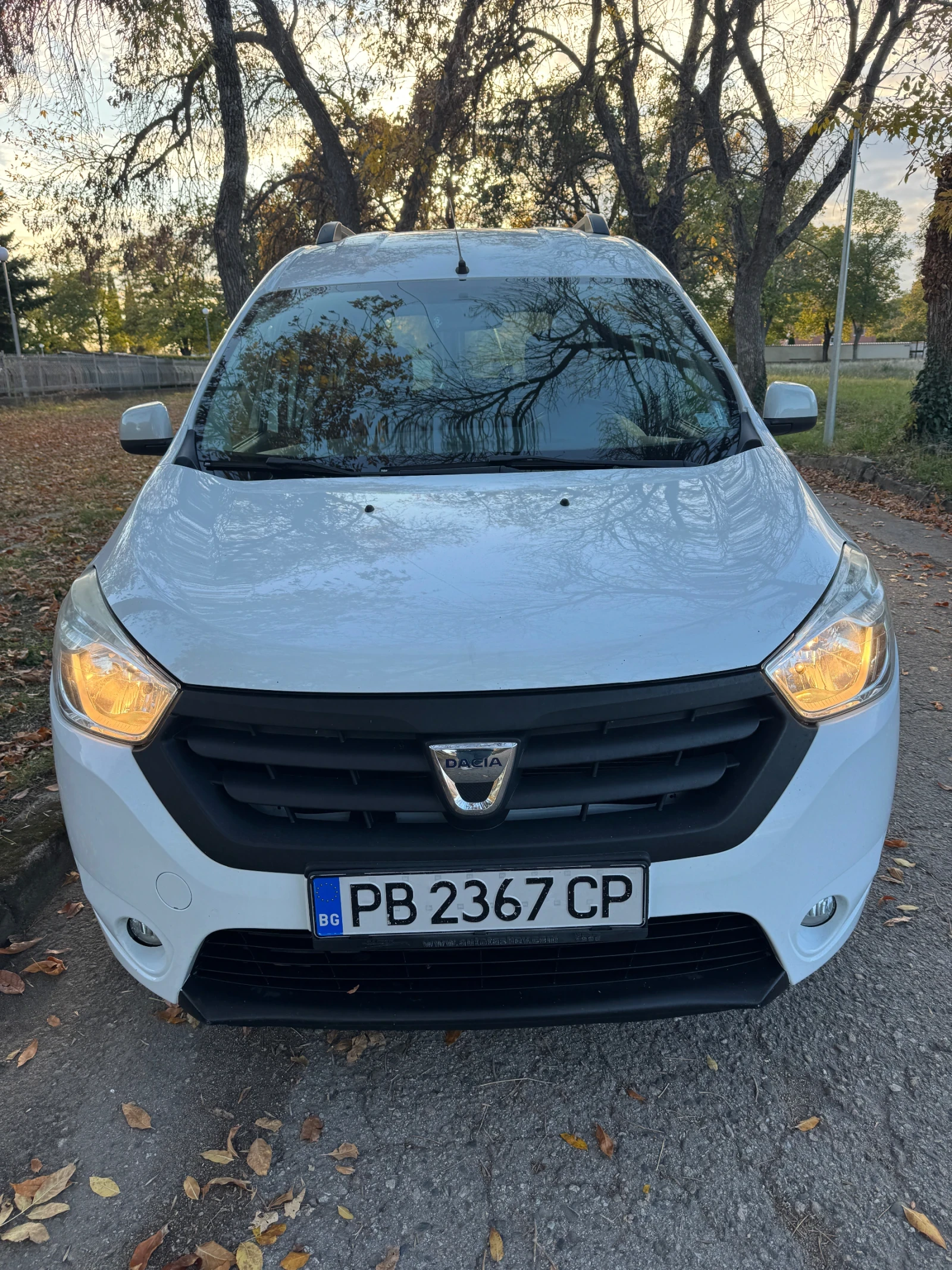 Dacia Dokker, снимка 1