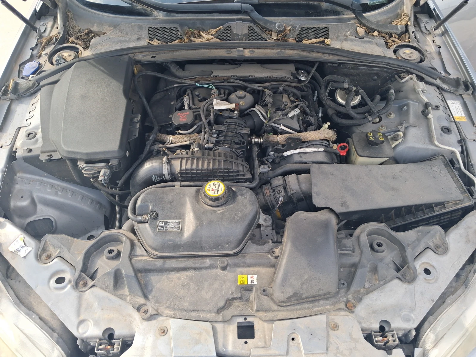 Jaguar Xf 2.7HDI V6 207�.�. | Mobile.bg � ����������� 13