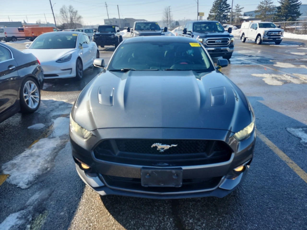 Ford Mustang GT 5.0 Premium* ��������* ����������*  | Mobile.bg � ����������� 1