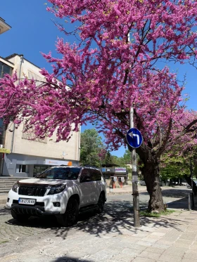 Toyota Land cruiser, снимка 10
