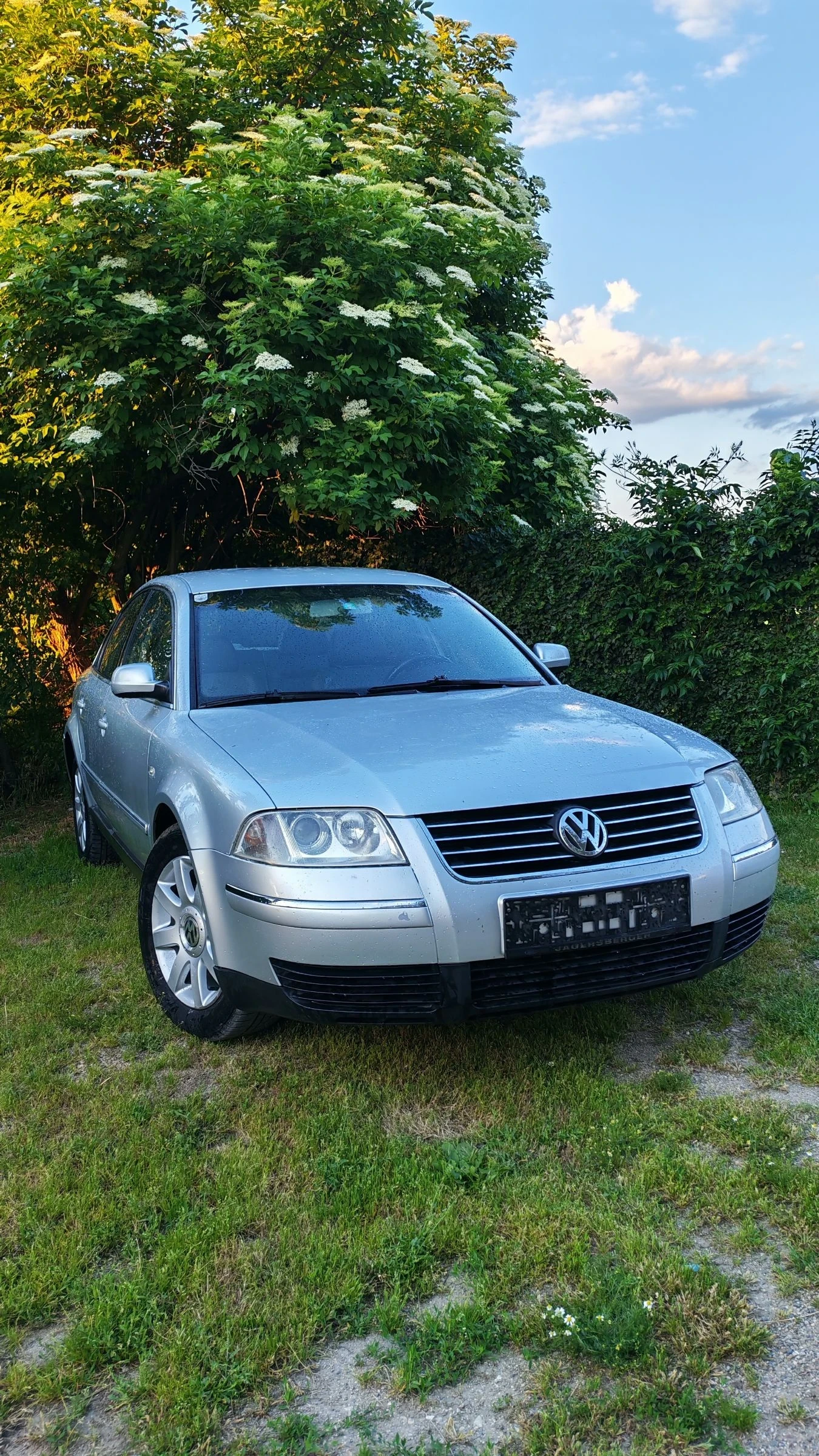 VW Passat 1.9 131 4x4