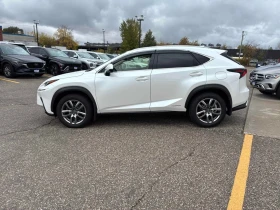 Lexus NX 300h  CARFAX - 20300 € / 39703.35 лв. - 91851275 2