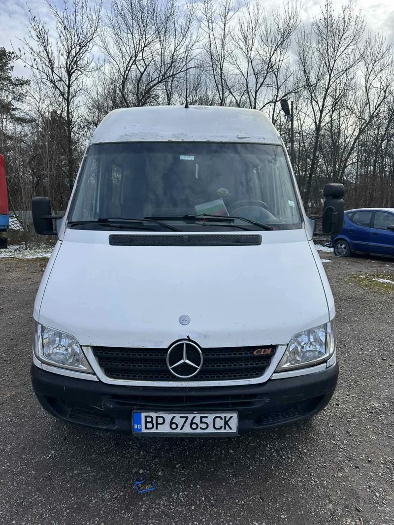 Mercedes-Benz Sprinter 316 CDI, снимка 1 - Бусове и автобуси - 48053424