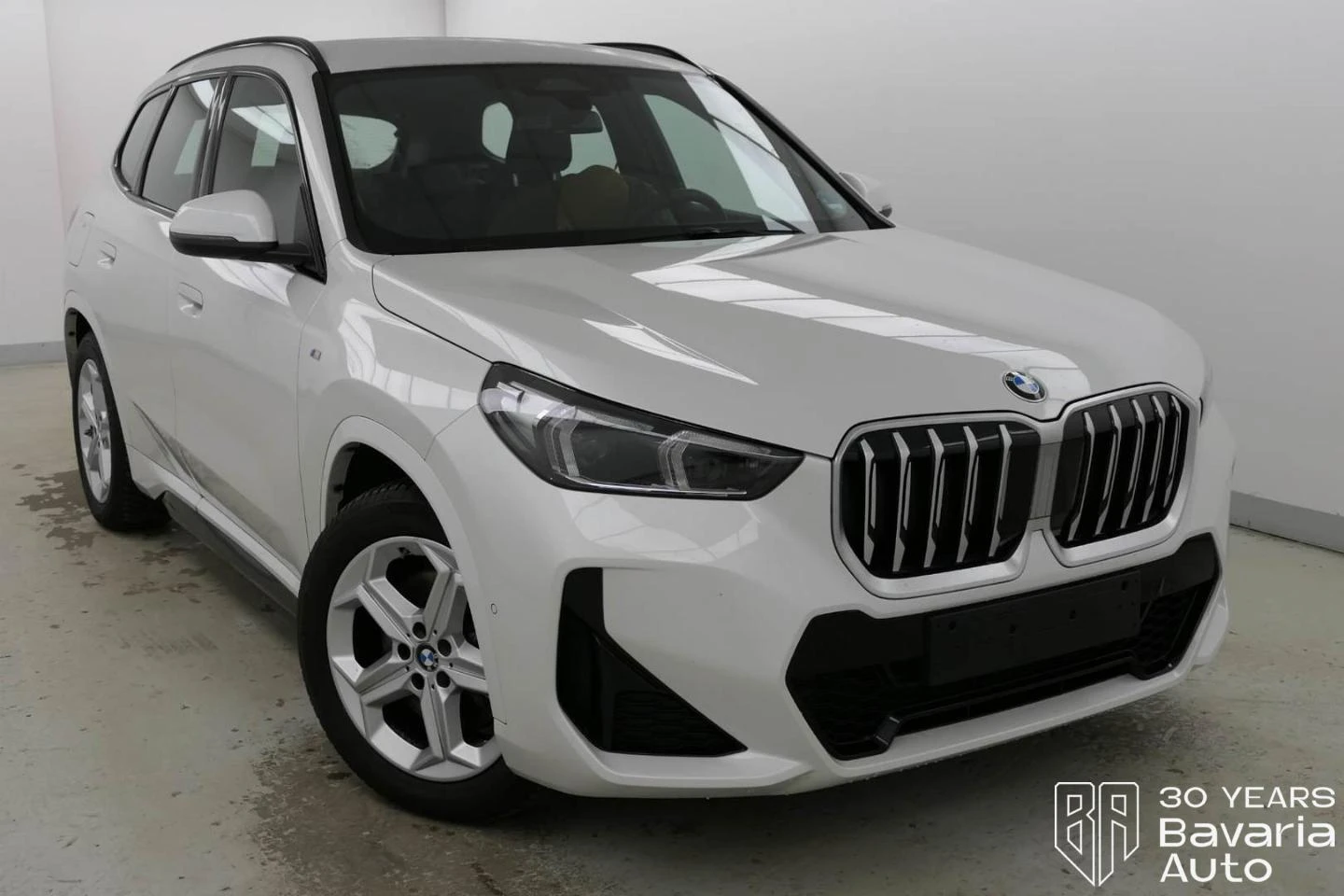 BMW X1 23d xDrive M Sport Paket Steptronic - изображение 4