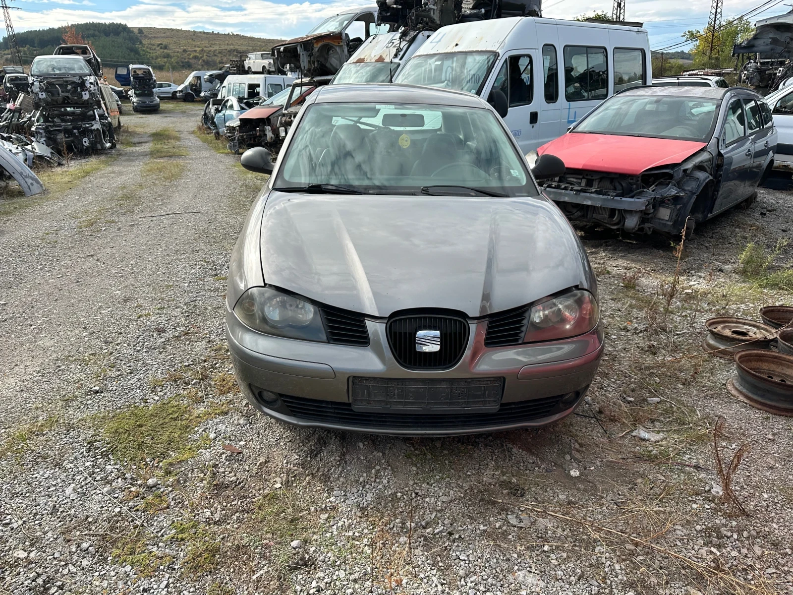 Seat Ibiza 1.4 TDI, снимка 1