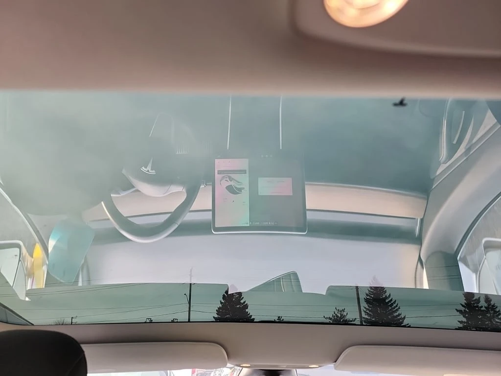 Tesla Model 3 * STANDARD RANGE PLUS * CARFAX * ��� ������������  | Mobile.bg � ����������� 14