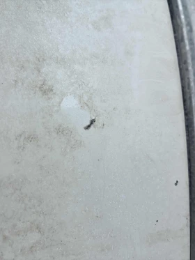 Mazda CX-9 2.5L 4cyl AWD