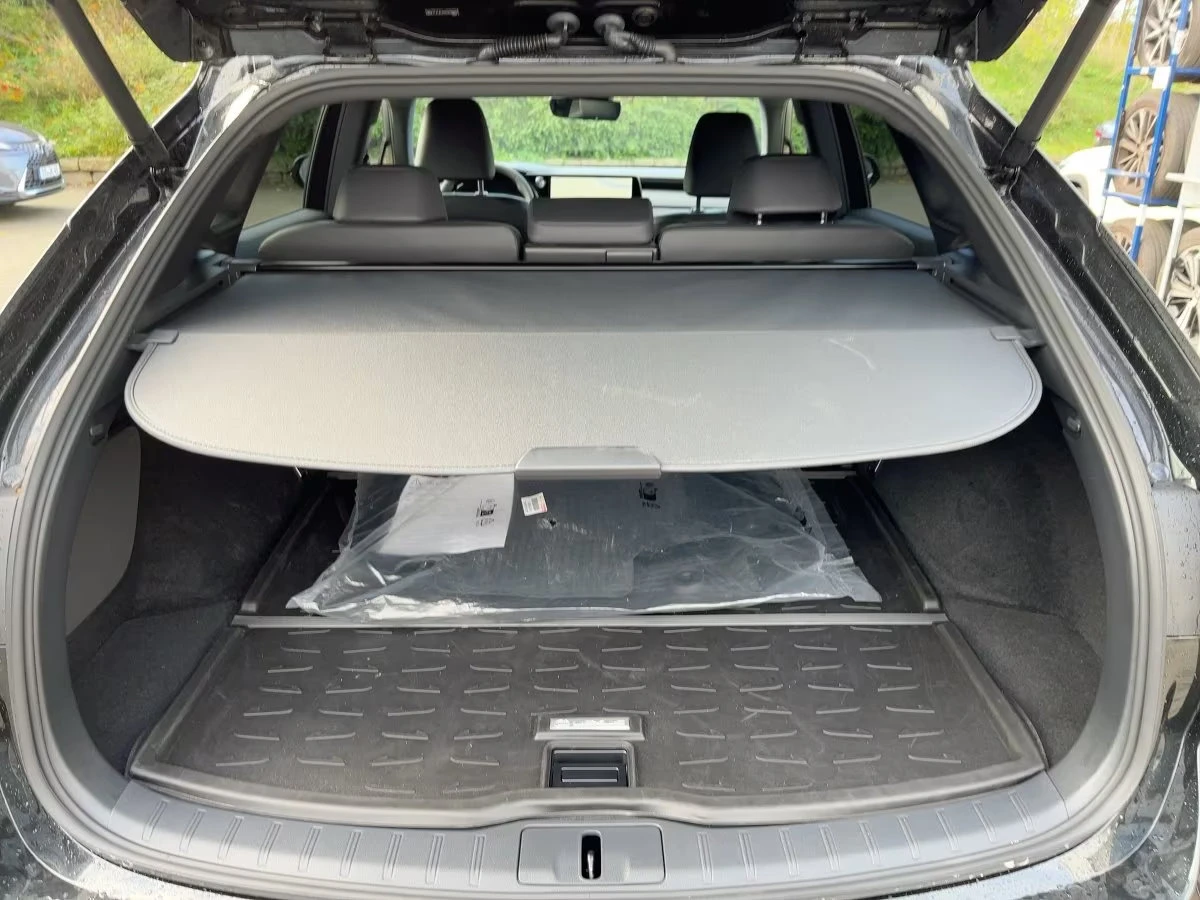 Lexus RX 350h BUSINESS/250HP/CAM/NAVI/LED/DIGI/KLESS/592g | Mobile.bg   14