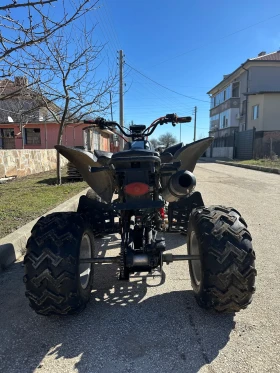 Bashan BS, снимка 3