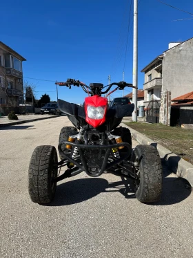 Bashan BS, снимка 1