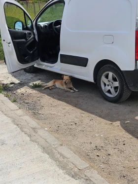 Peugeot Partner, снимка 3