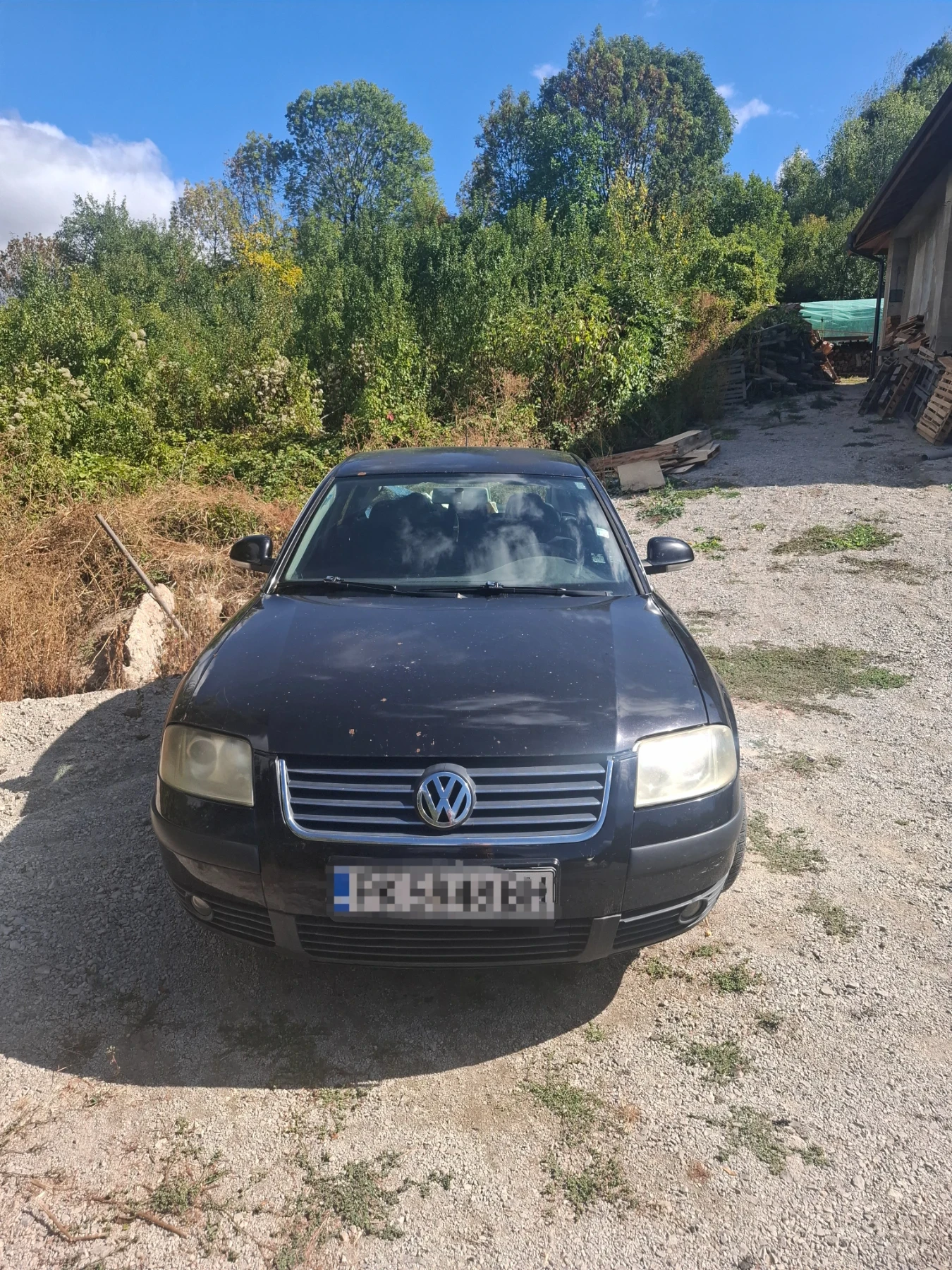 VW Passat