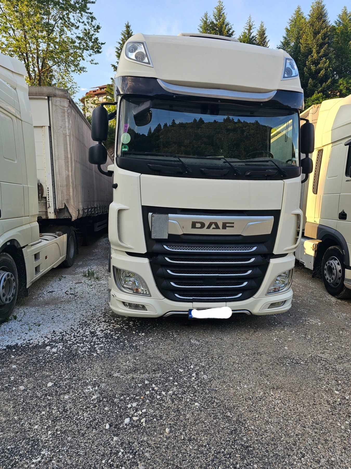Daf XF 450, снимка 1