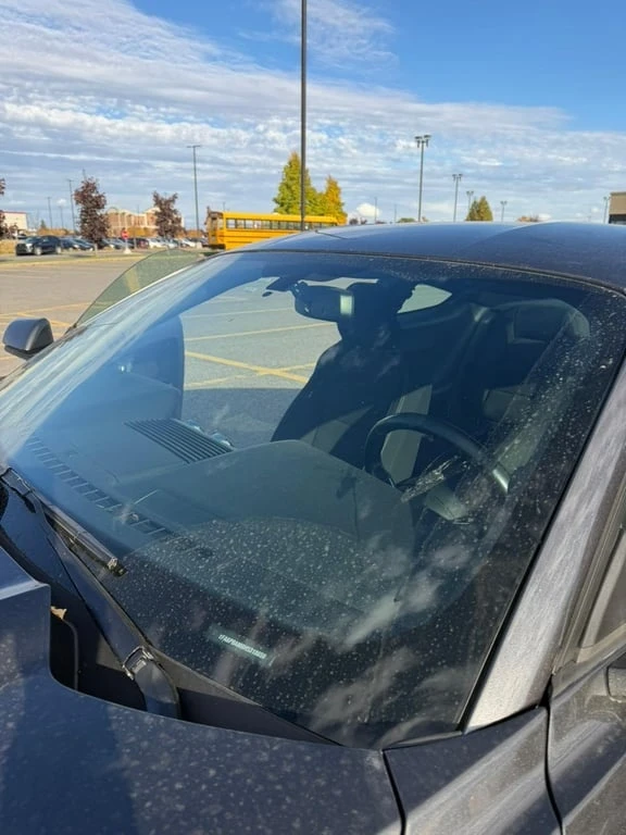 Ford Mustang * V6 * CARFAX *    | Mobile.bg   7