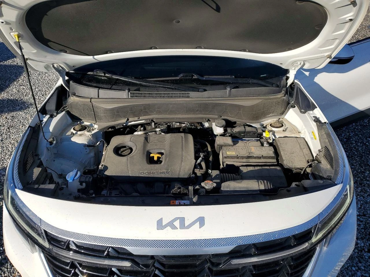 Kia Seltos S/AWD/����������� �� 290 ���� �� ����� | Mobile.bg � ����������� 12