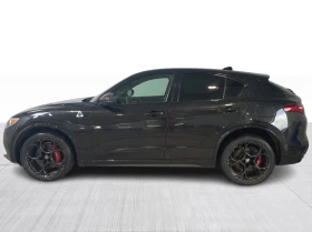Alfa Romeo Stelvio QUADROFOGLIO* CARBON* FULL* КРАЙНА ЦЕНА ДО БЪЛГАРИ, снимка 3
