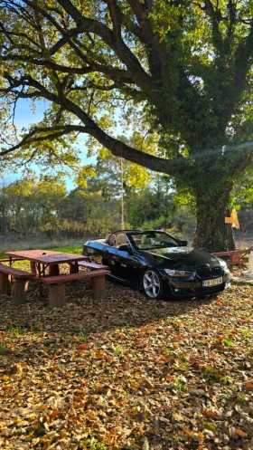 BMW 330, снимка 8