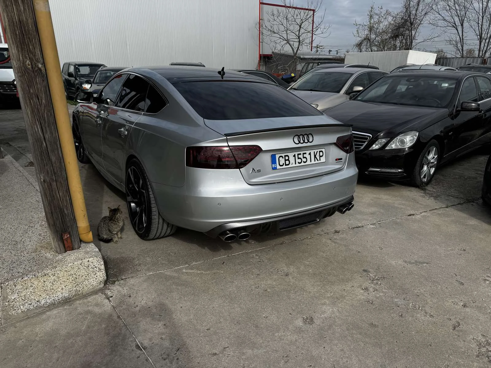 Audi A5 S-Line/Sportback/LED - изображение 5