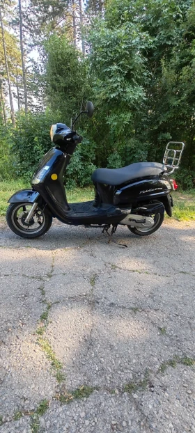 Sym Fiddle 49cc | Mobile.bg    3