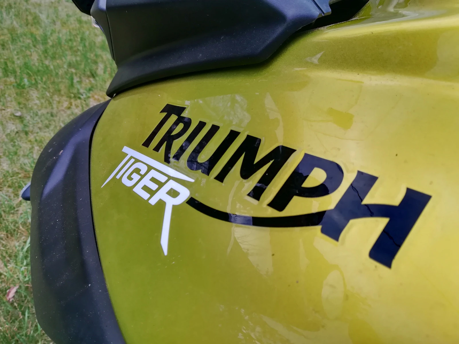 Triumph Tiger 800 ABS - изображение 3