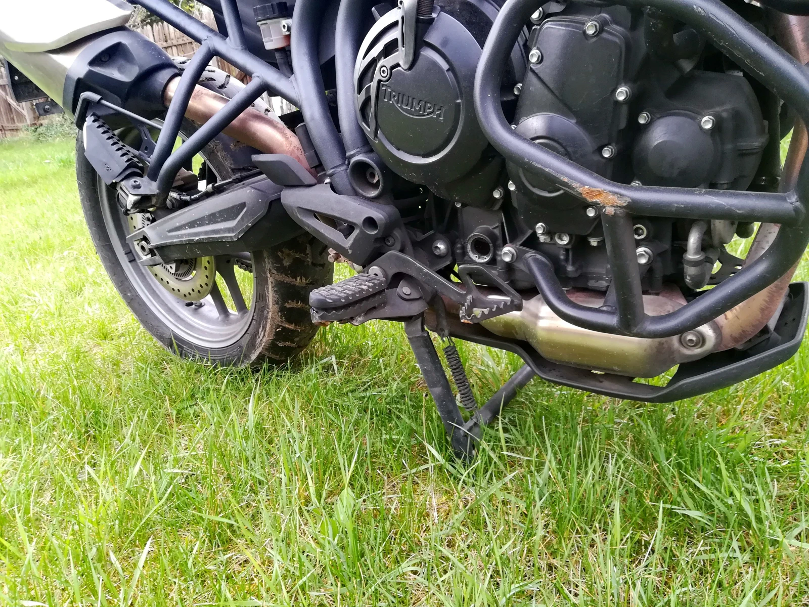 Triumph Tiger 800 ABS - изображение 5