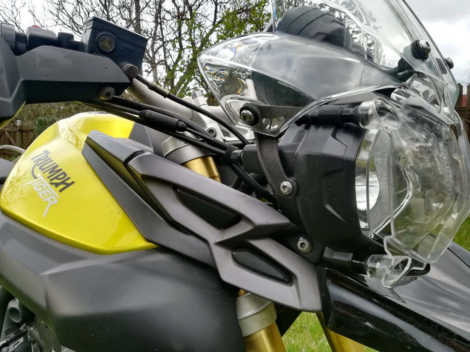 Triumph Tiger 800 ABS - изображение 2