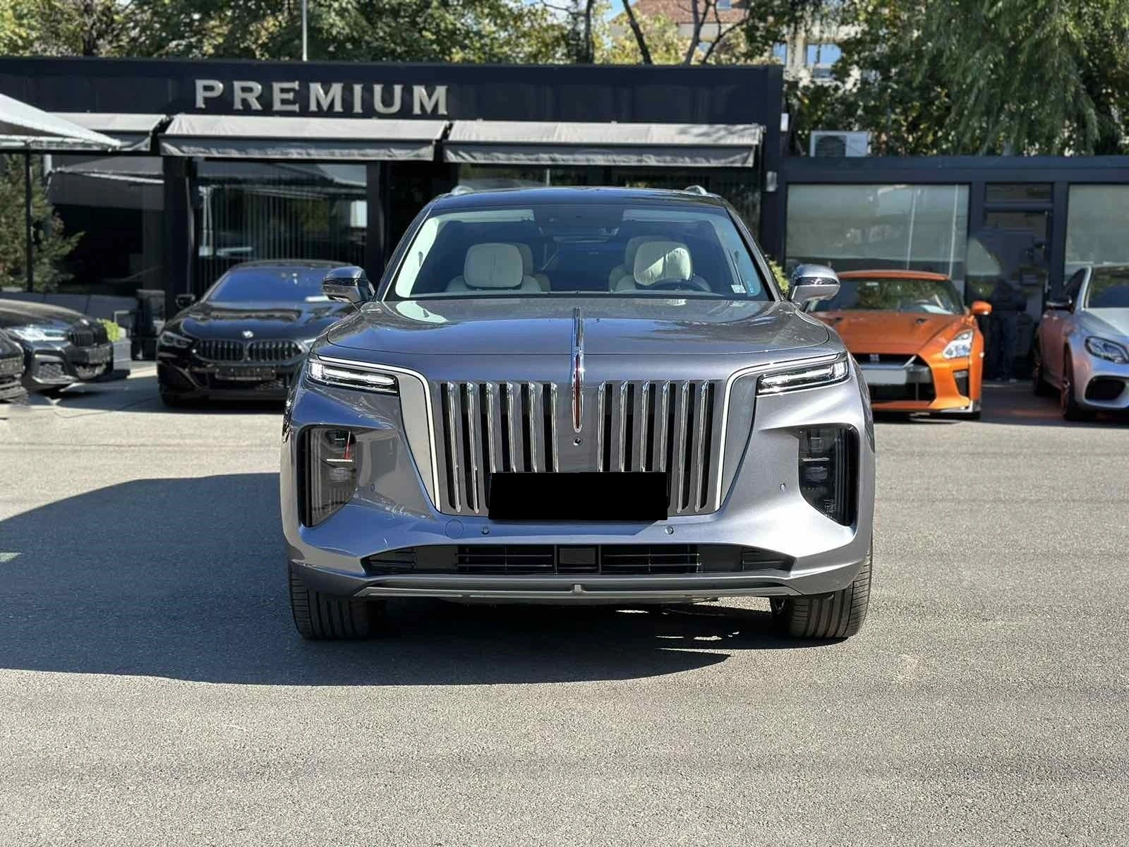 HongQi E-HS9 99kWh, снимка 1