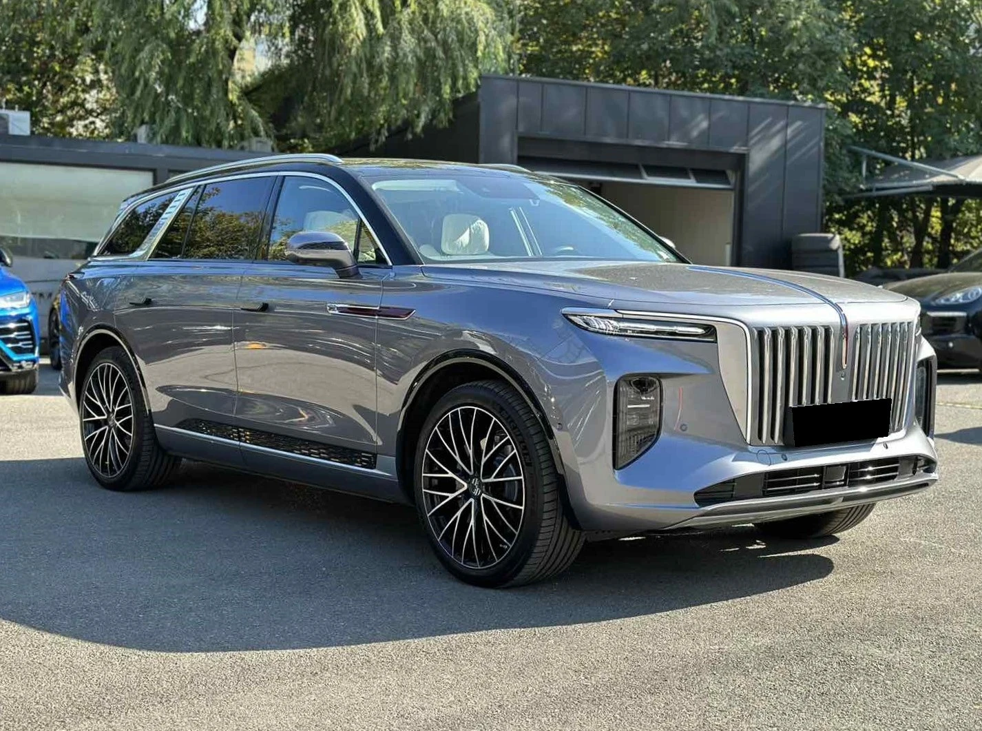 HongQi E-HS9 99kWh - изображение 4