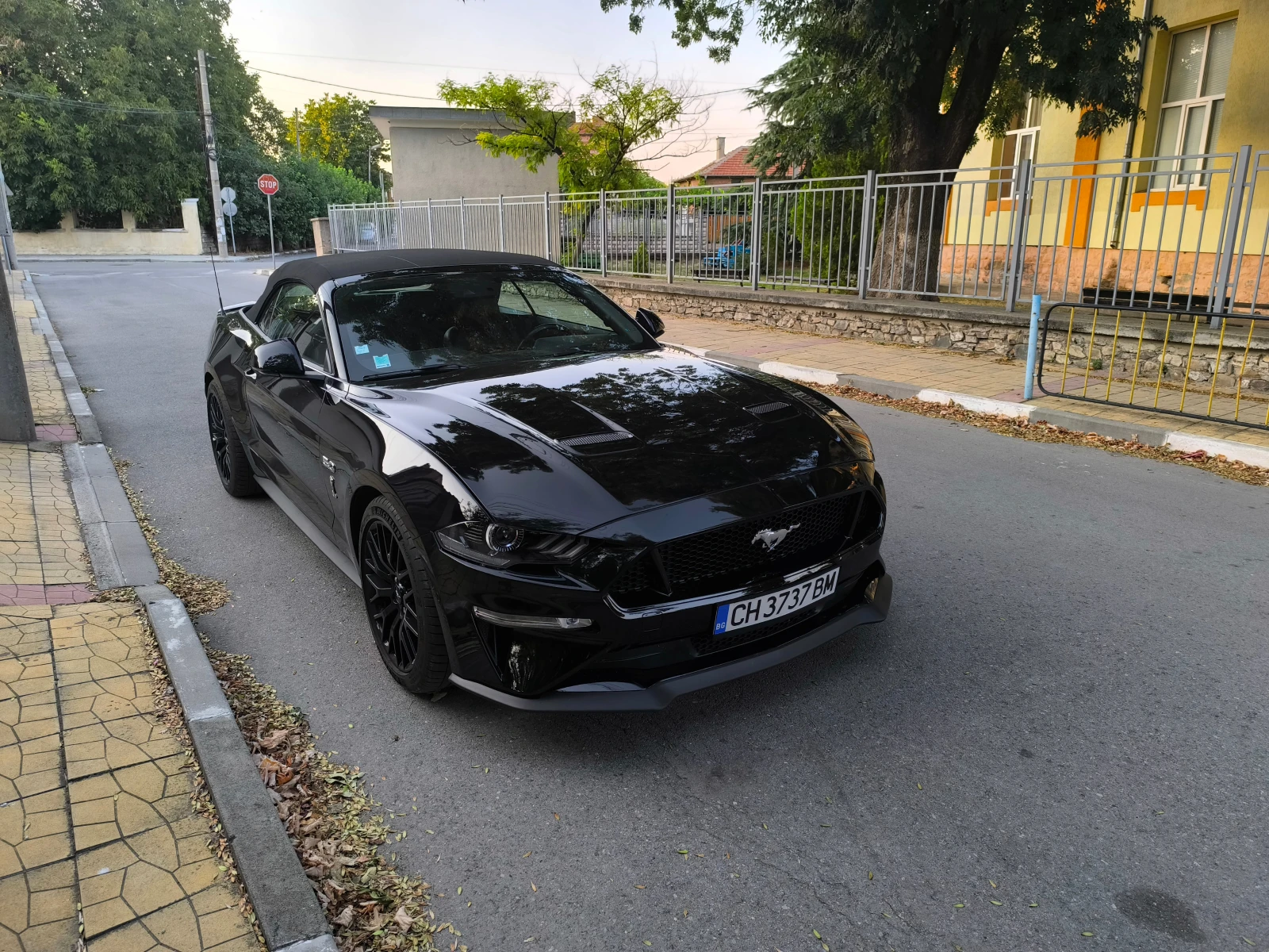 Ford Mustang  - изображение 2