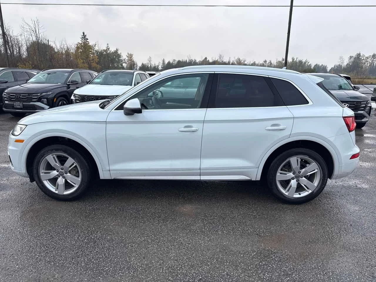 Audi Q5  Technik / 360 / Distronic / B&O / Carfax  | Mobile.bg � ����������� 2