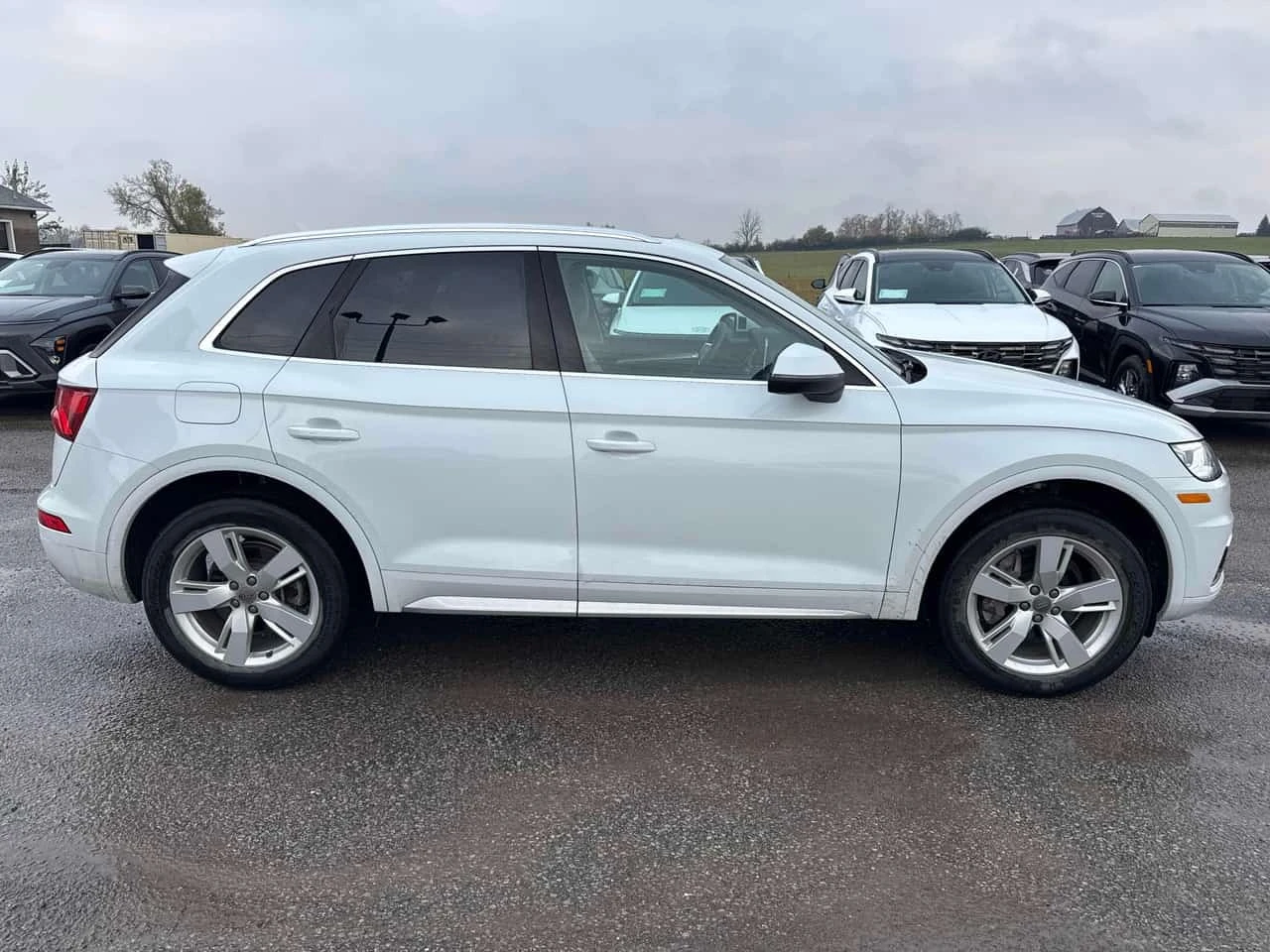 Audi Q5  Technik / 360 / Distronic / B&O / Carfax  | Mobile.bg � ����������� 3