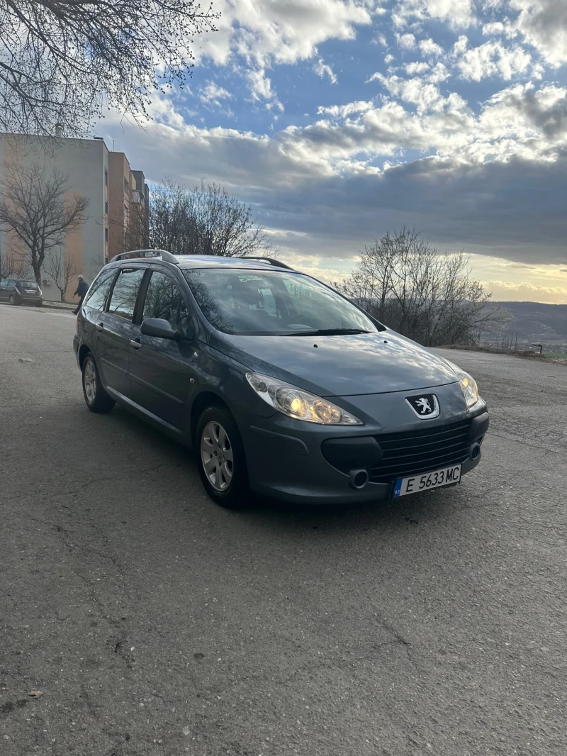 Peugeot 307 1.6HDI, снимка 3 - Автомобили и джипове - 49497330