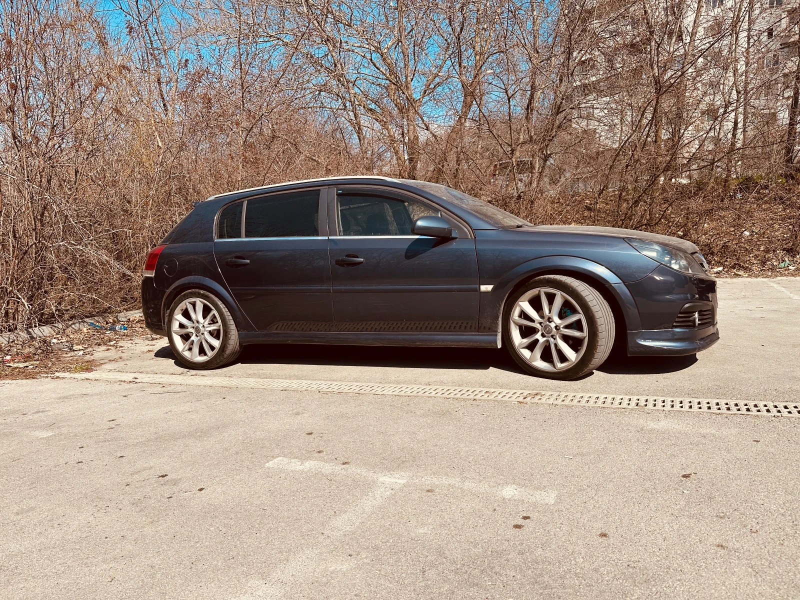 Opel Signum, снимка 8 - Автомобили и джипове - 53844569