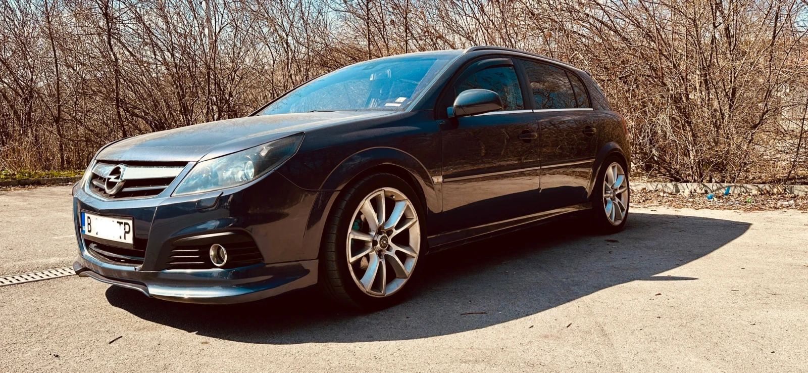 Opel Signum, снимка 6 - Автомобили и джипове - 53844569