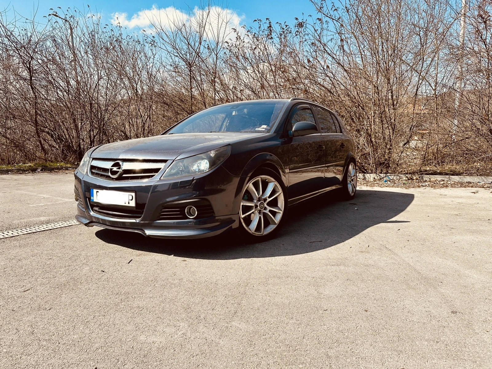Opel Signum, снимка 7 - Автомобили и джипове - 53844569