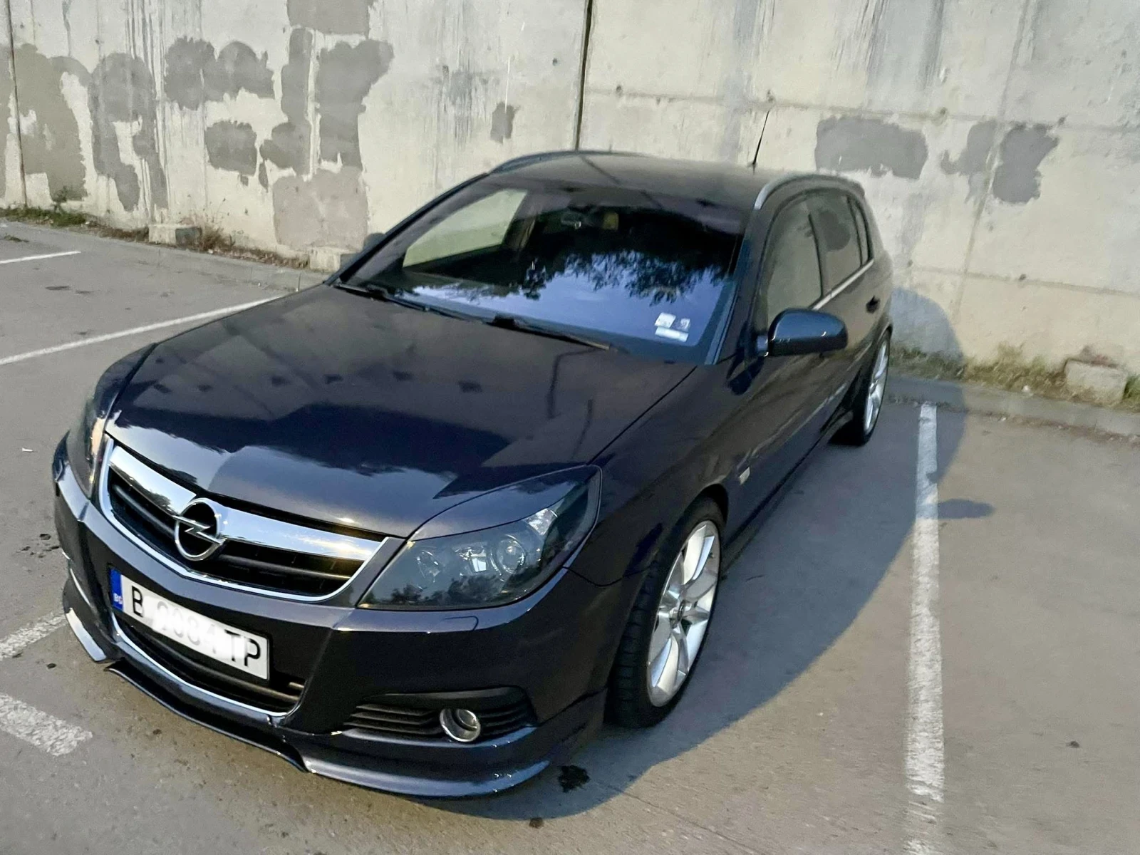 Opel Signum, снимка 3 - Автомобили и джипове - 53844569
