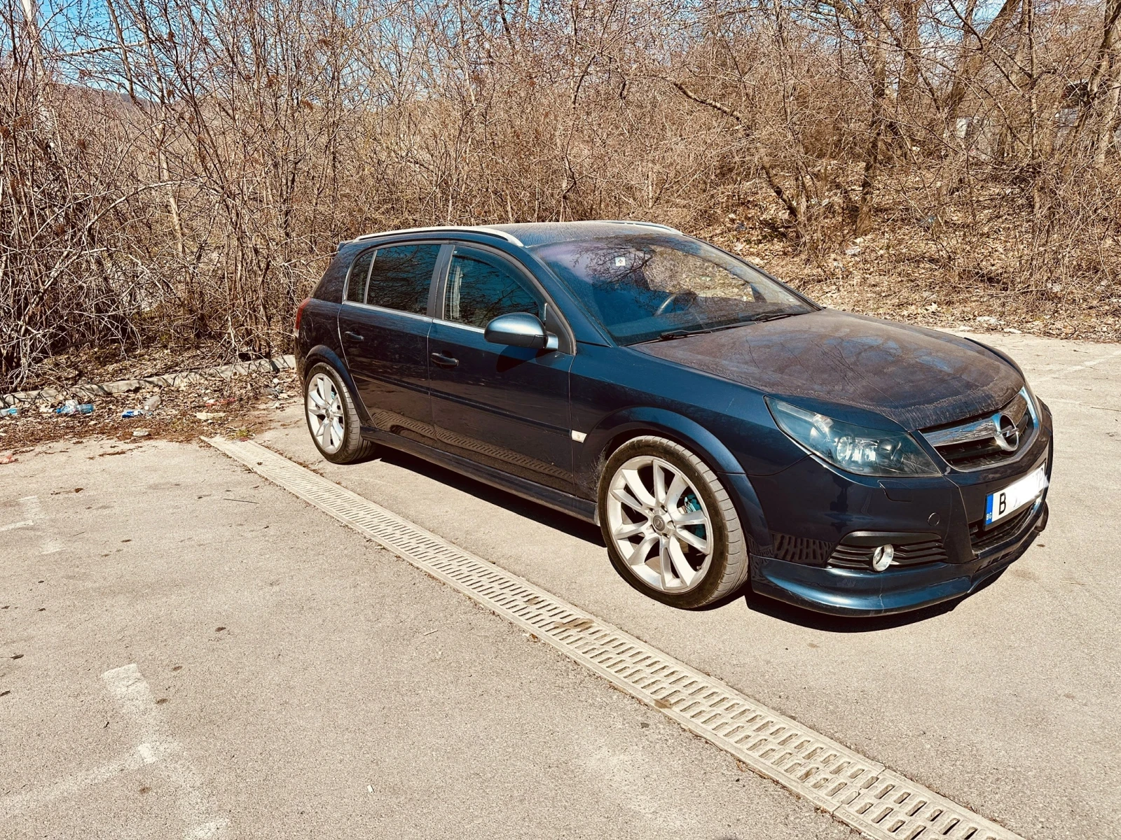 Opel Signum, снимка 11 - Автомобили и джипове - 53844569
