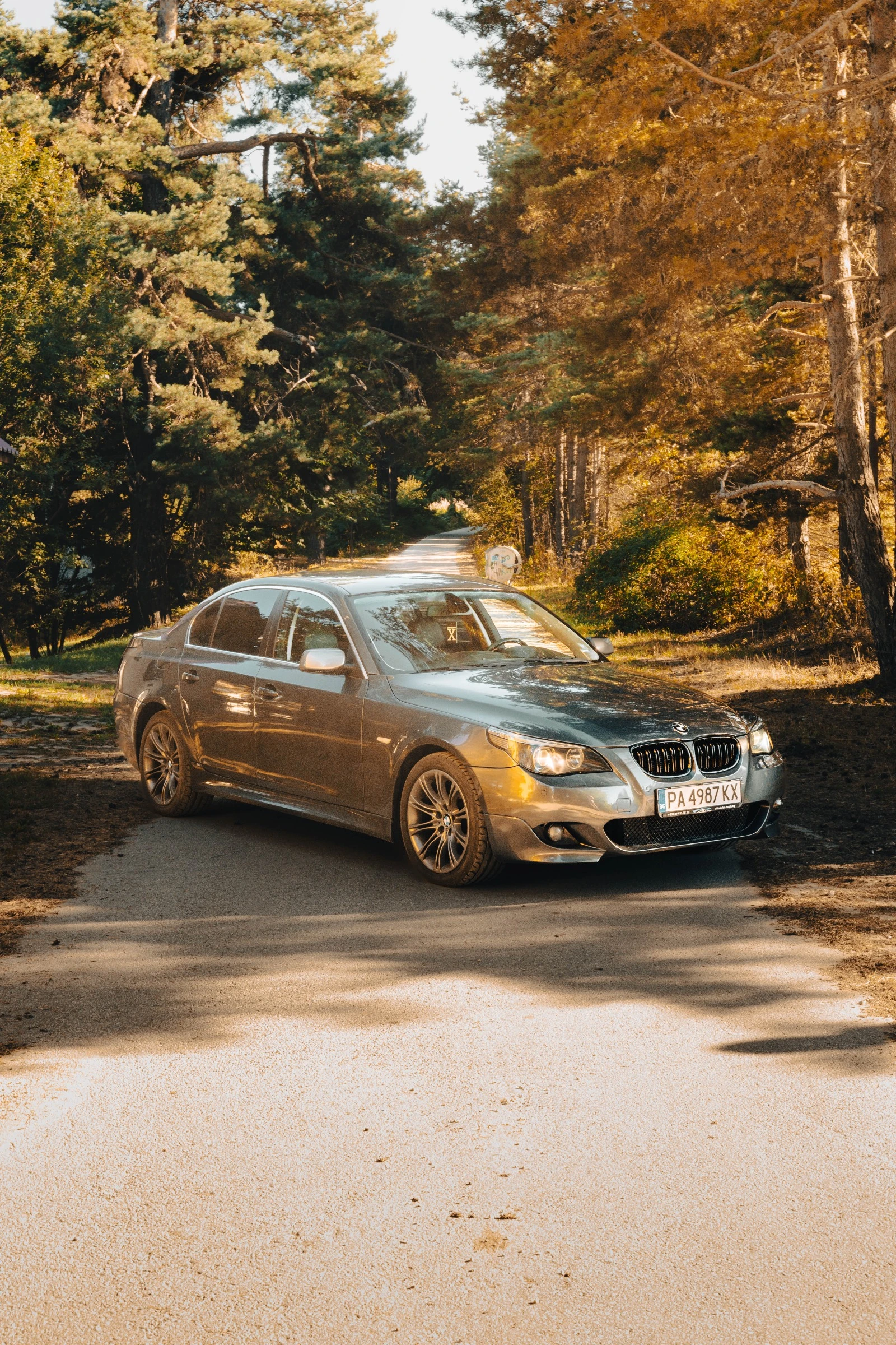 BMW 530, снимка 4 - Автомобили и джипове - 55747793