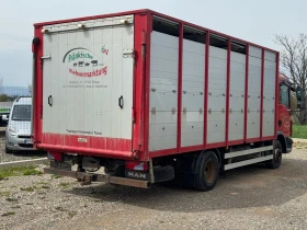 Man Tgl Животновоз* 2013г* Автоматик* Специален* Клима* 6ц | Auto.bg — изображение 4