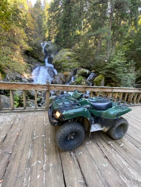 Kawasaki Brute Force 650 44 | Mobile.bg    4
