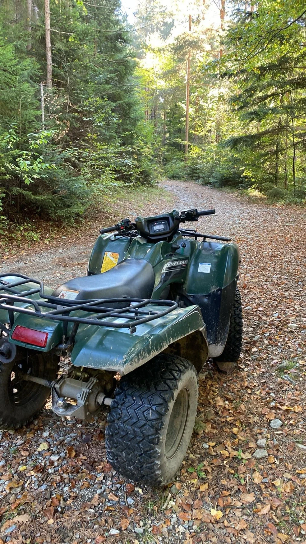 Kawasaki Brute Force 650 4х4 - изображение 2