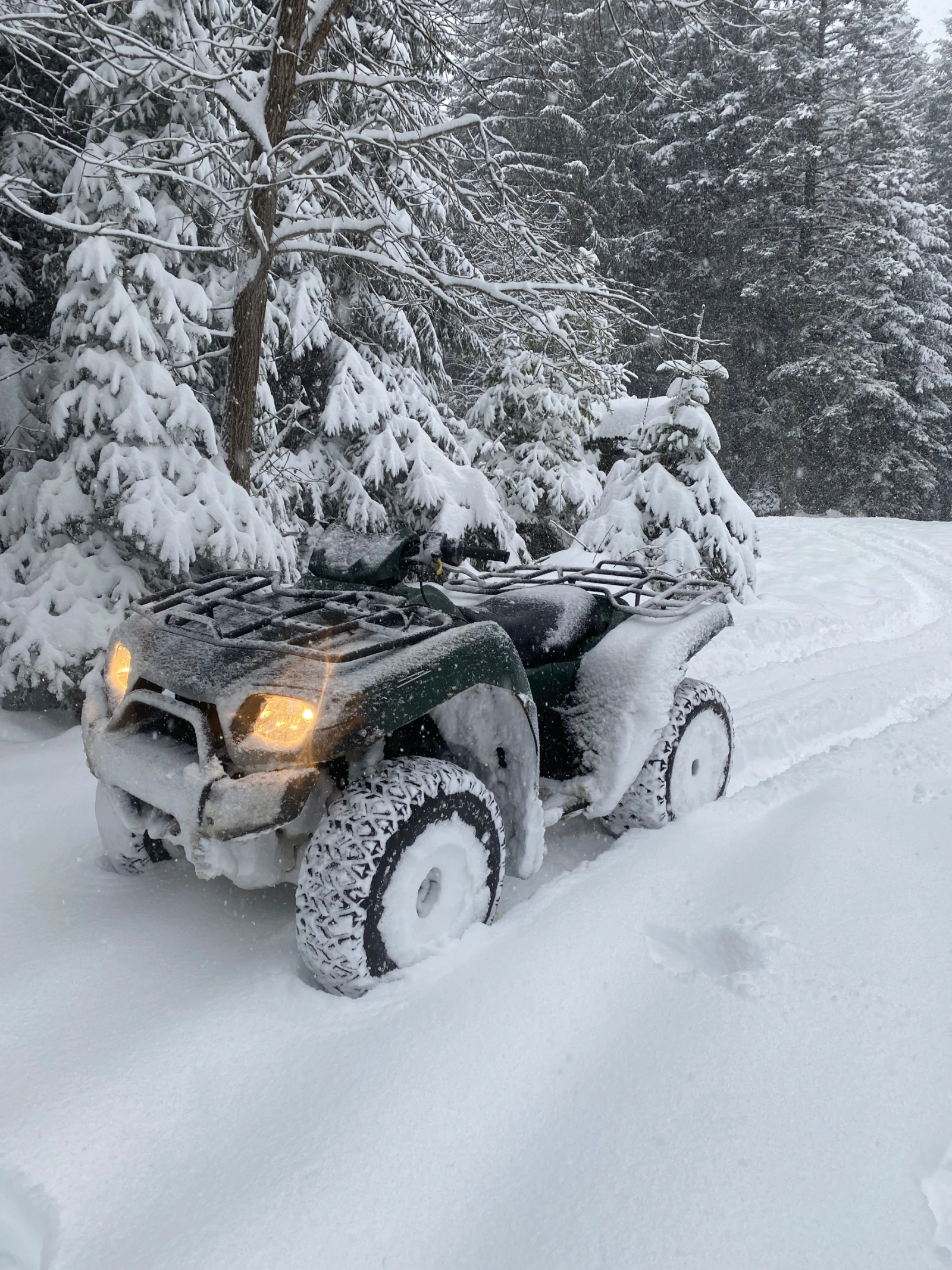 Kawasaki Brute Force 650 4х4 - изображение 6