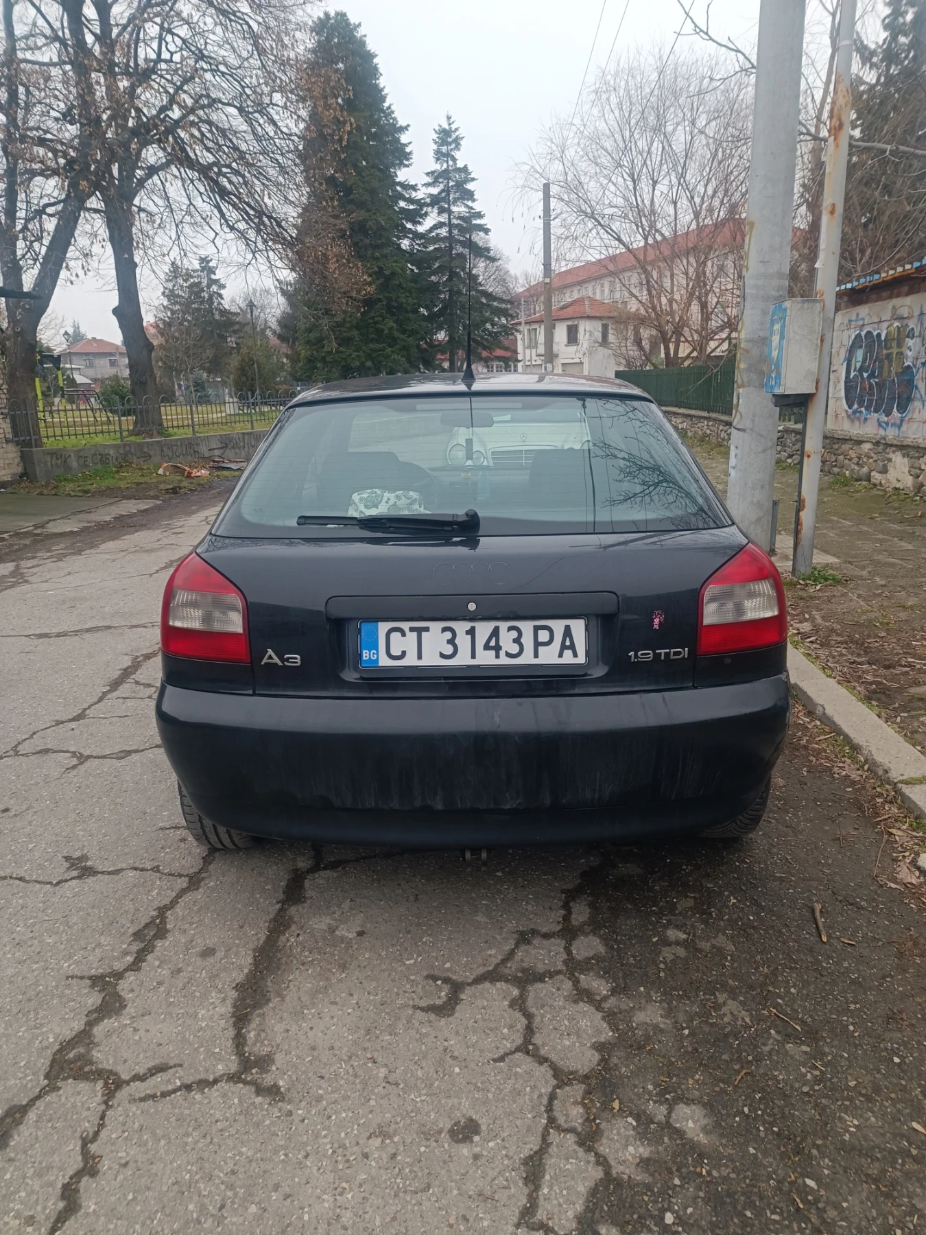 Audi A3 1.9 TDI, снимка 4 - Автомобили и джипове - 53717608