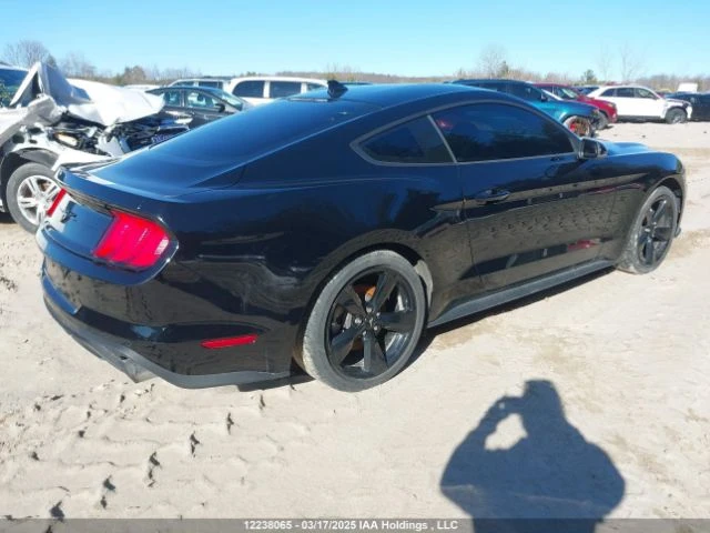 Ford Mustang  - изображение 3
