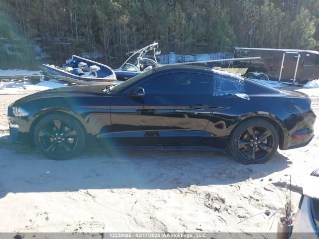 Ford Mustang  - изображение 6