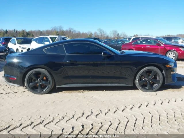 Ford Mustang  - изображение 2
