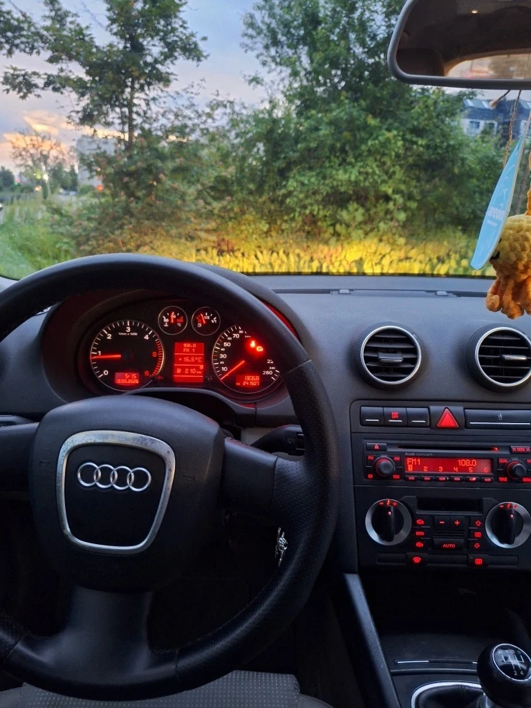 Audi A3 1.9 TDI, снимка 4 - Автомобили и джипове - 55979877