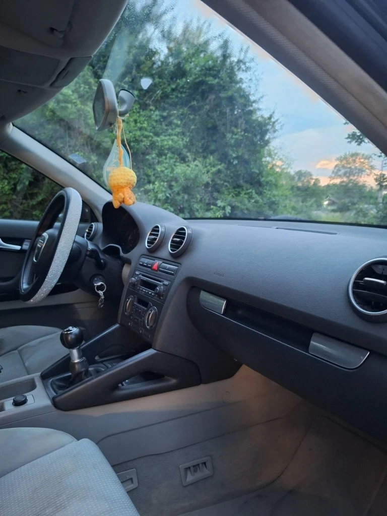 Audi A3 1.9 TDI, снимка 6 - Автомобили и джипове - 55979877