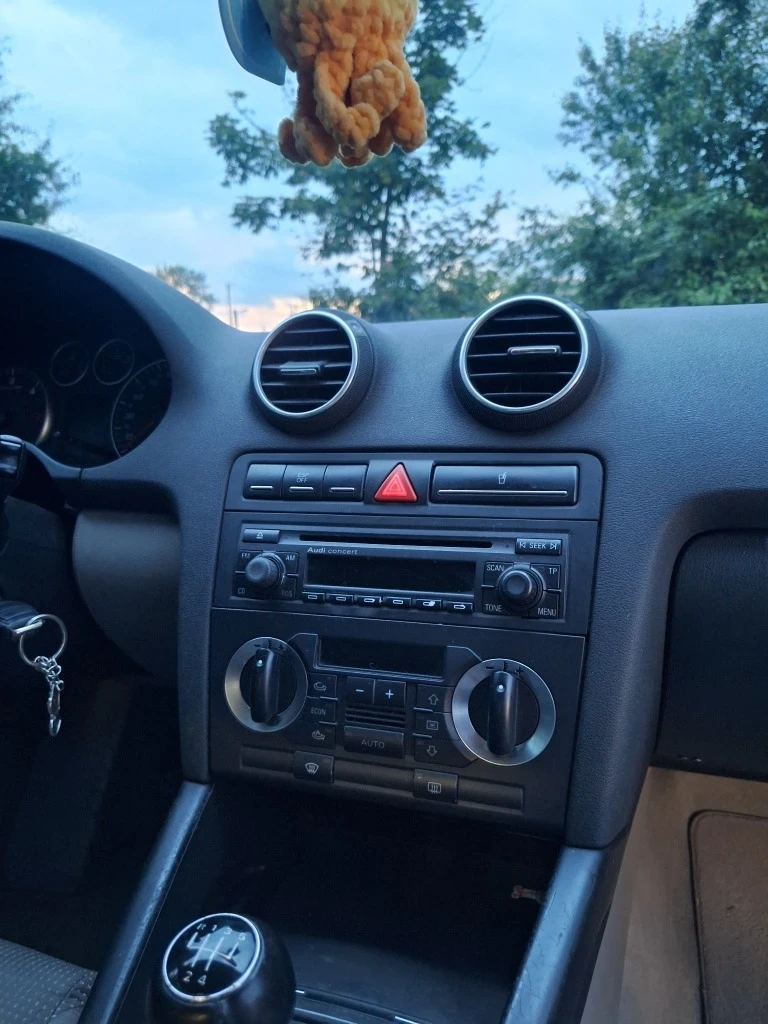 Audi A3 1.9 TDI, снимка 5 - Автомобили и джипове - 55979877