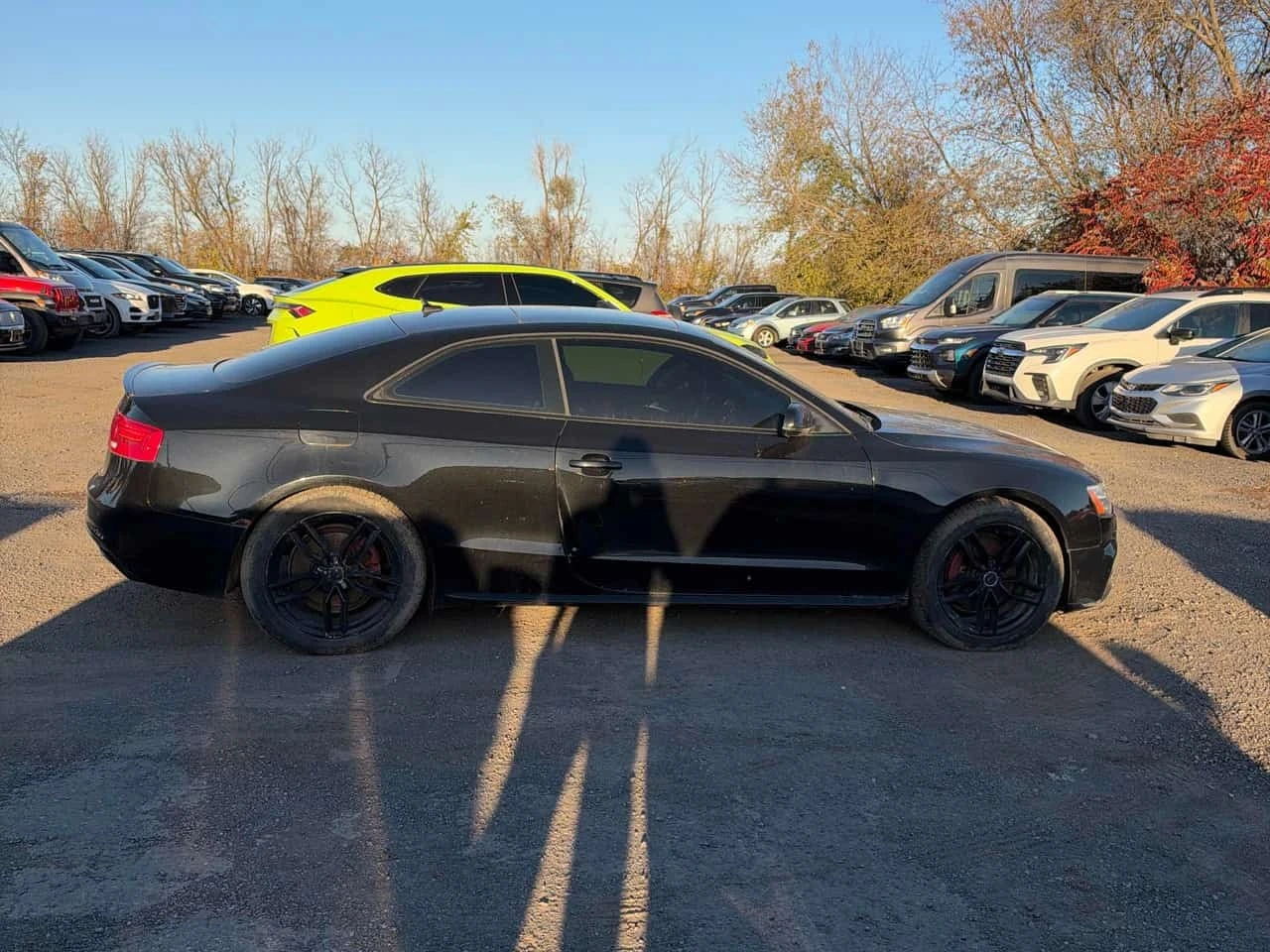 Audi A5 Progressiv/CARFAX/ПОДГРЕВ/ПАМЕТ/, снимка 3 - Автомобили и джипове - 56687729